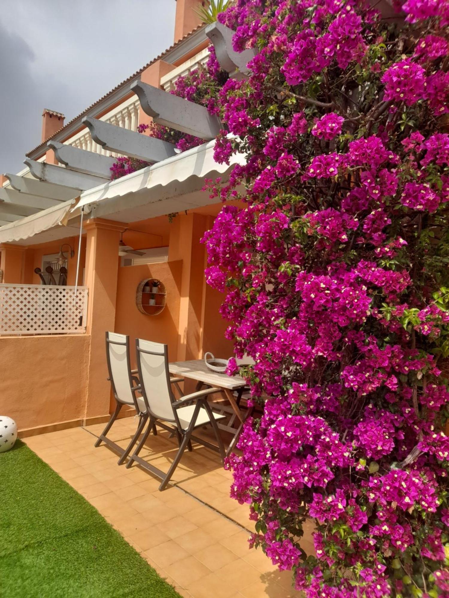 Apartamento Premium En Planta Baja Junto Al Parador Y Playa Del Arenal Javea Dış mekan fotoğraf